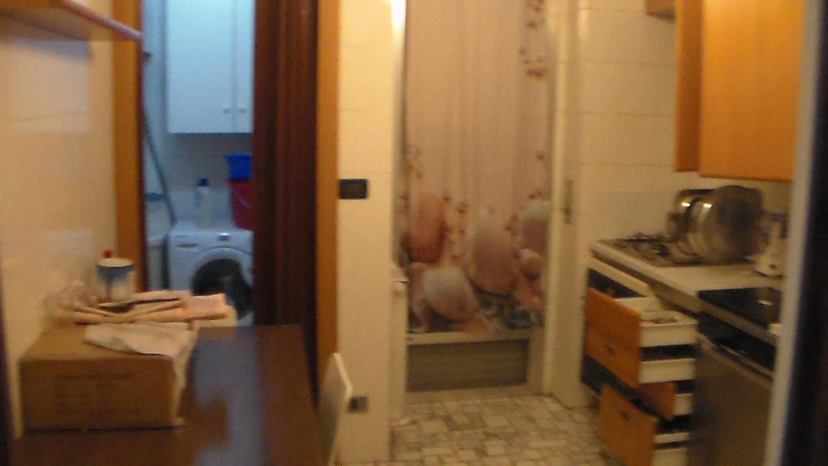 Garden Flat Apartment