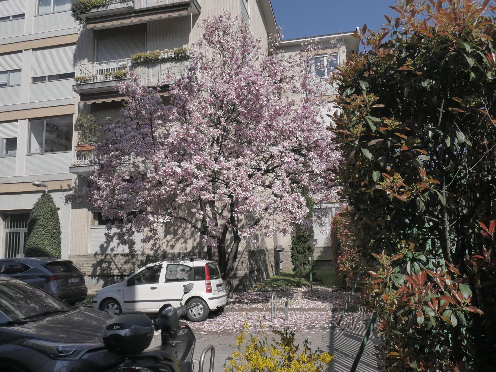 Garden Flat Apartment *