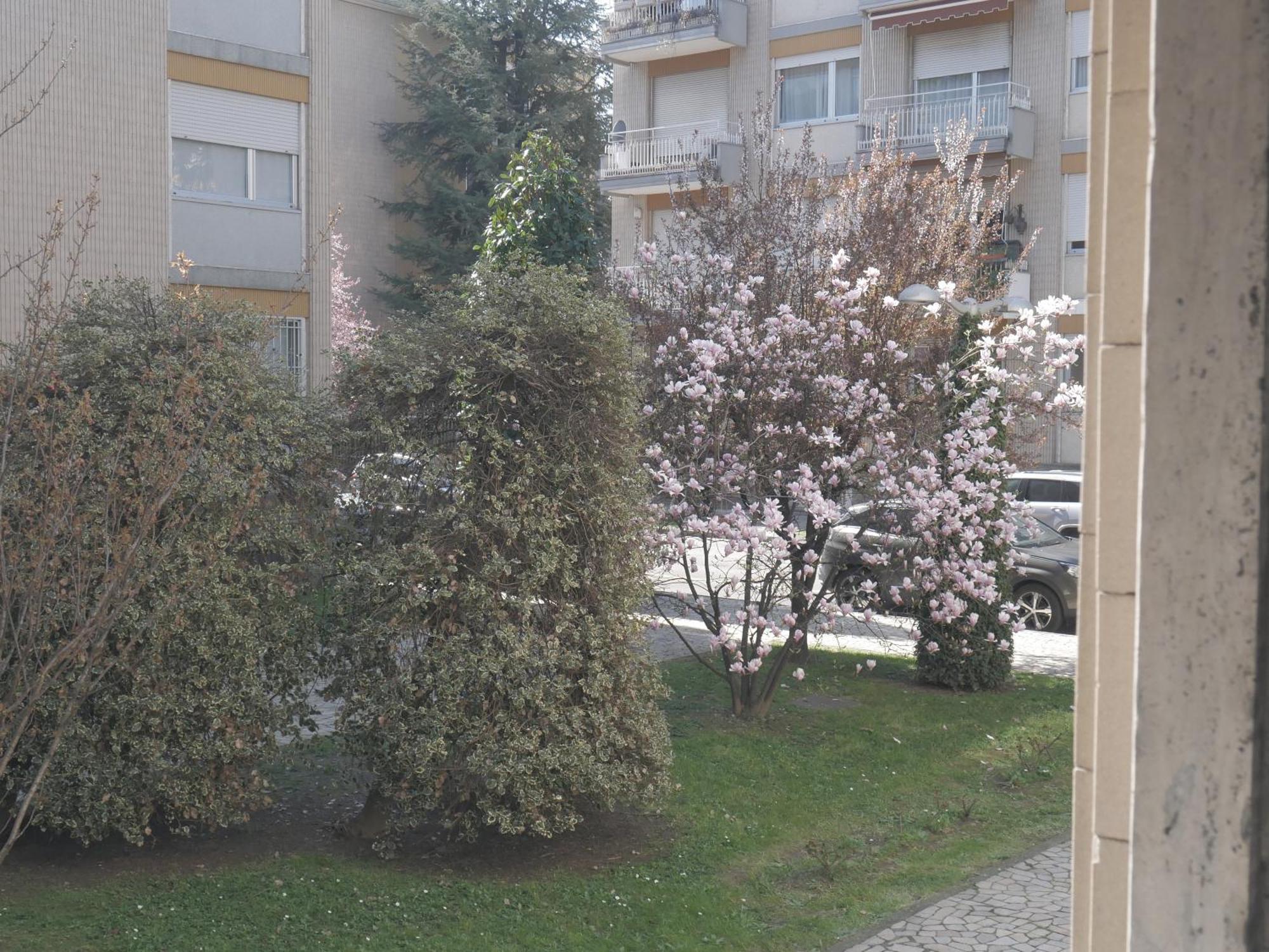 Garden Flat