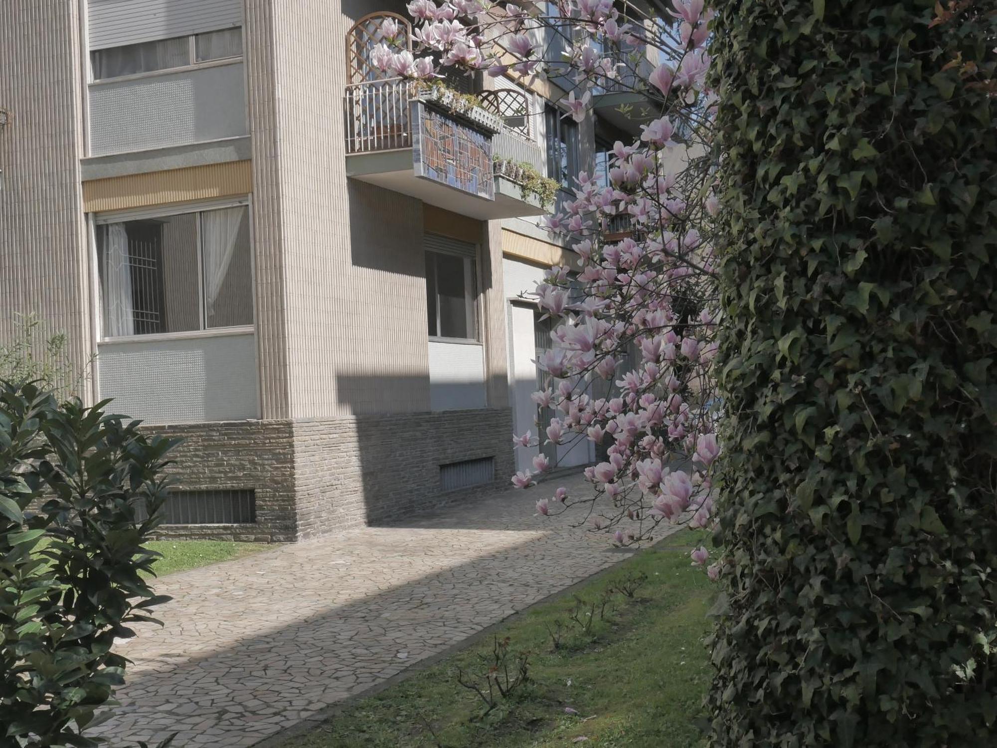 Garden Flat Apartment