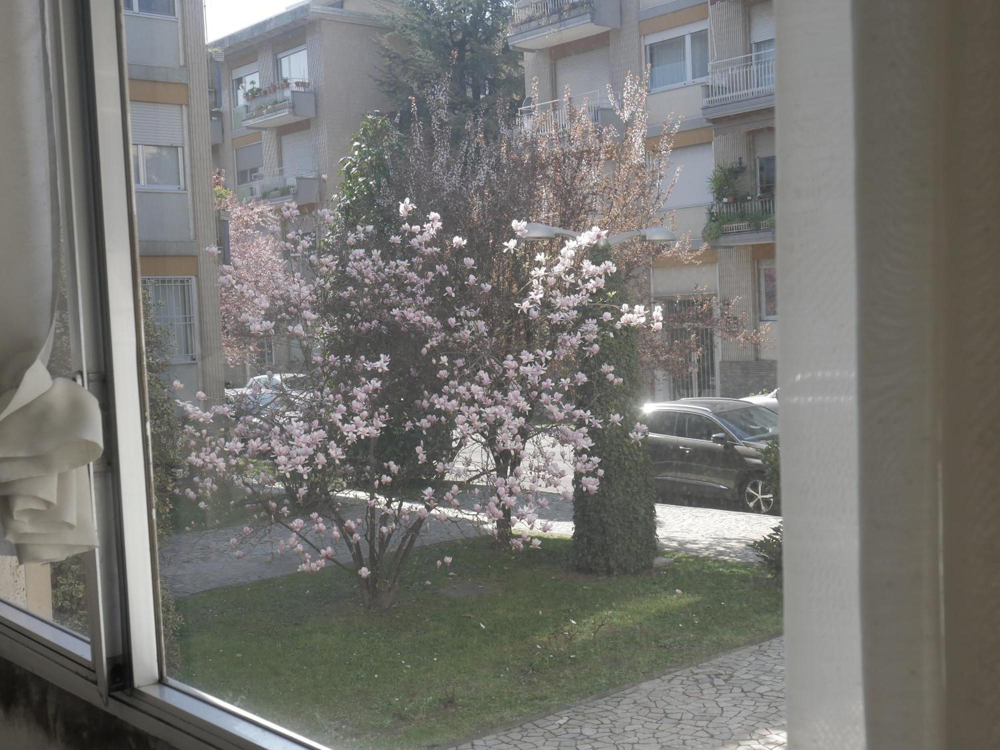 Apartment Garden Flat Mailand